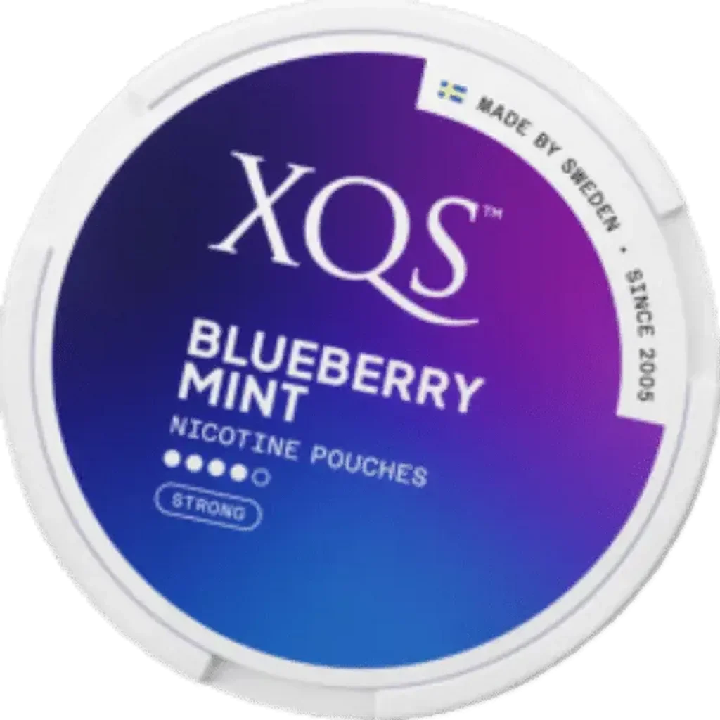 Image of XQS Blueberry Mint Nicotine Pouch