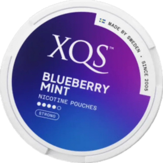 Image of XQS Blueberry Mint Nicotine Pouch

